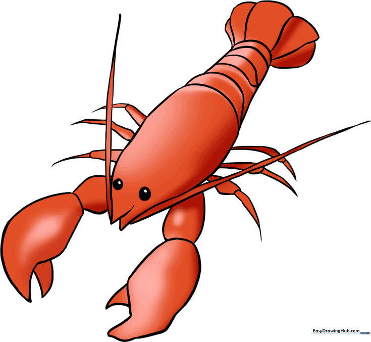 How to Draw a Lobster