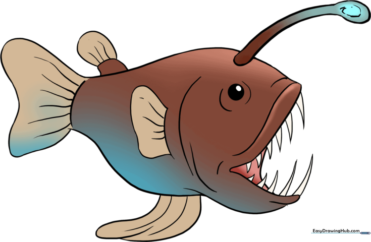 How to Draw an Angler Fish