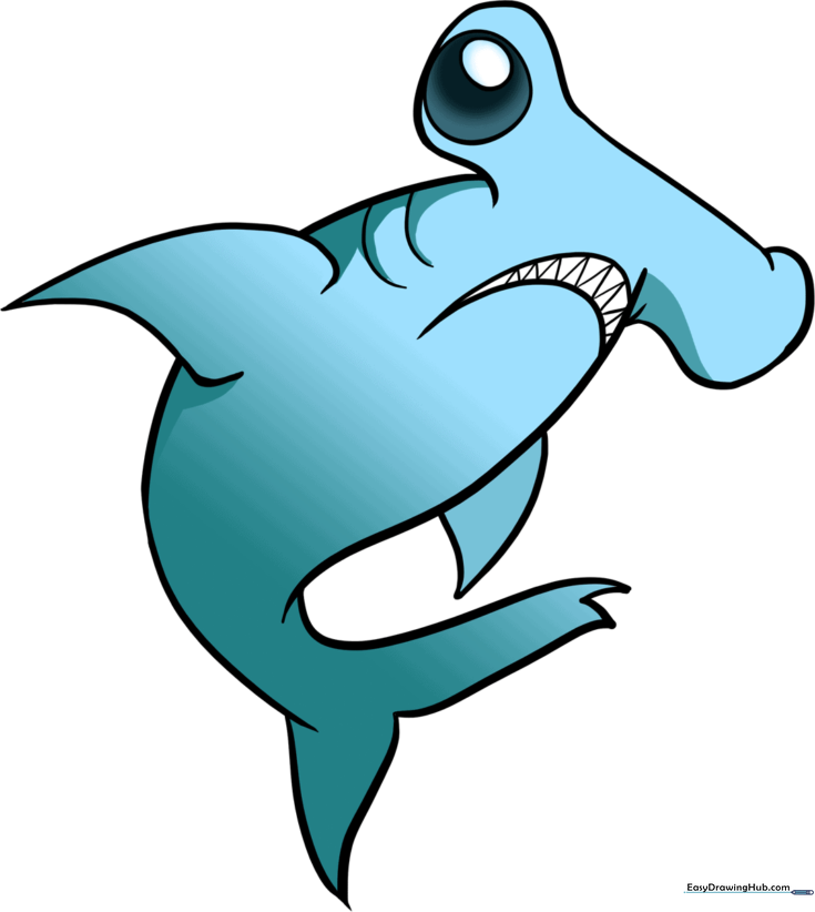 How to Draw a Hammerhead Shark
