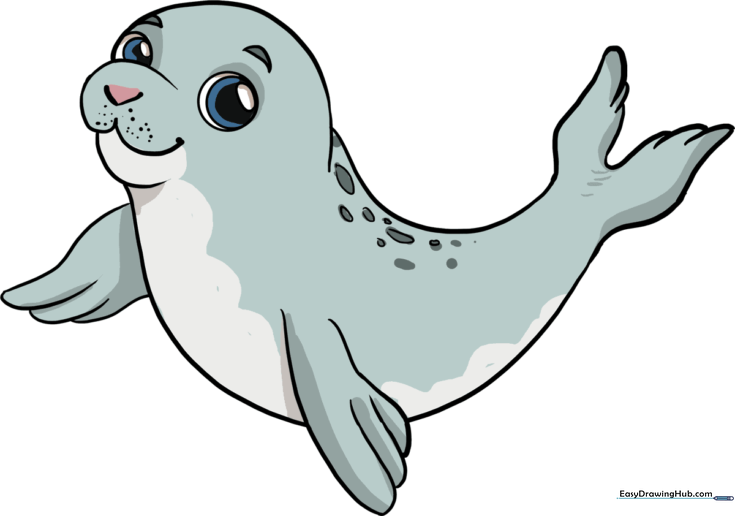 How to Draw a Baby Seal