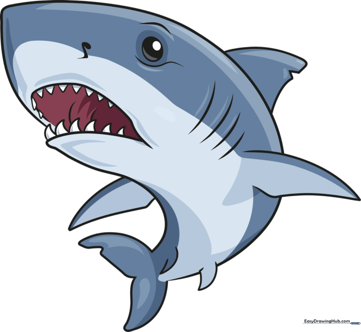 How to Draw a Great White Shark