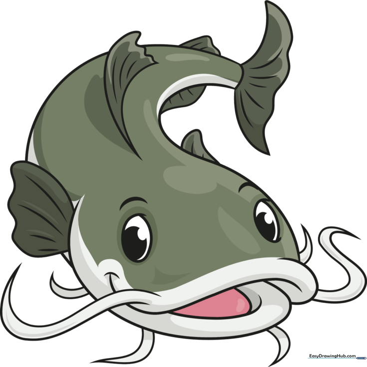 How to Draw a Catfish