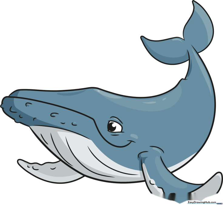 How to Draw a Humpback Whale