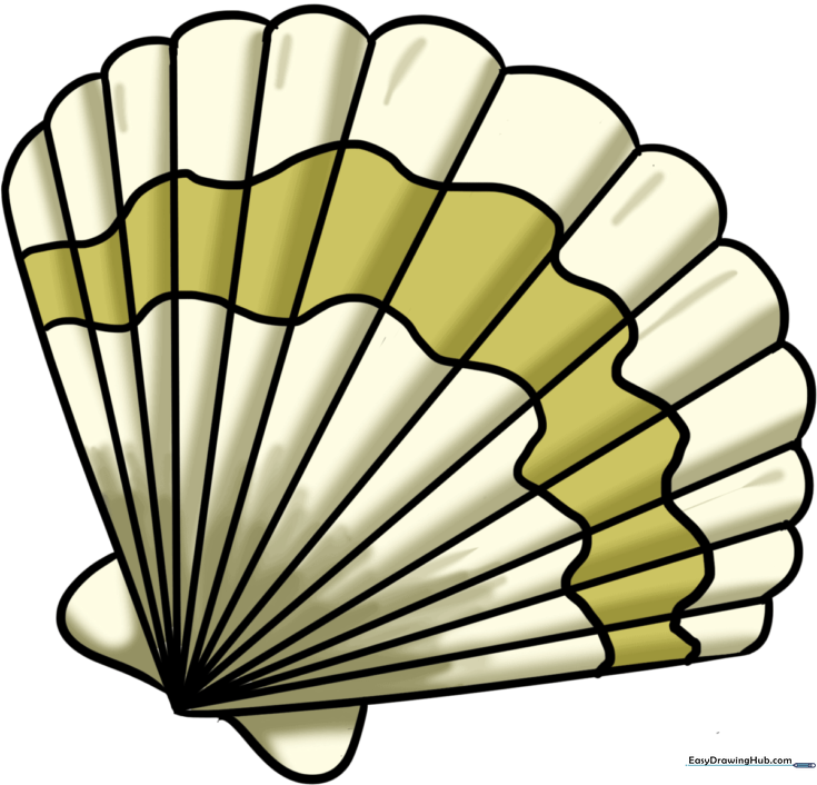 Seashell