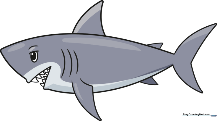 Easy Shark for Kids
