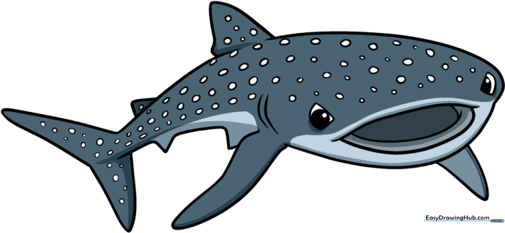 Whale Shark