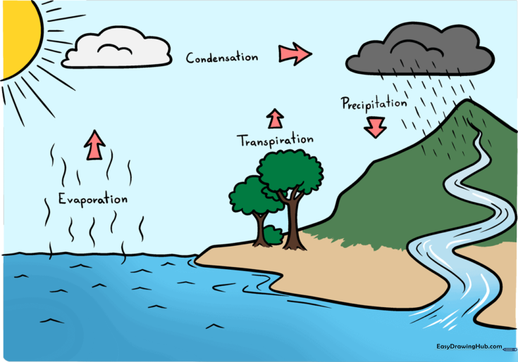 Water Cycle