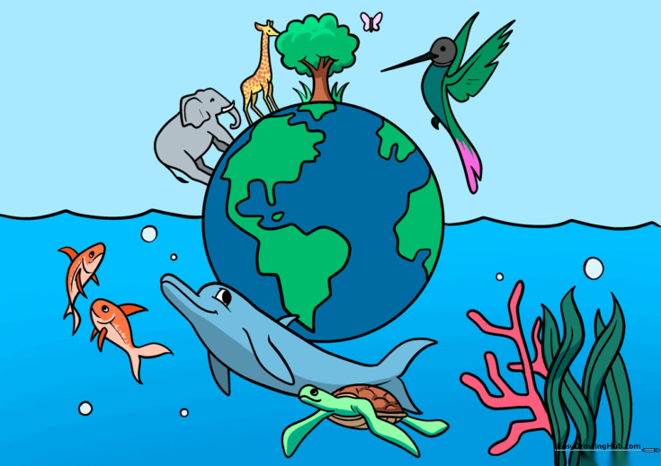 Biodiversity