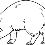 A cute cartoon aardvark coloring page for kids to print and color
