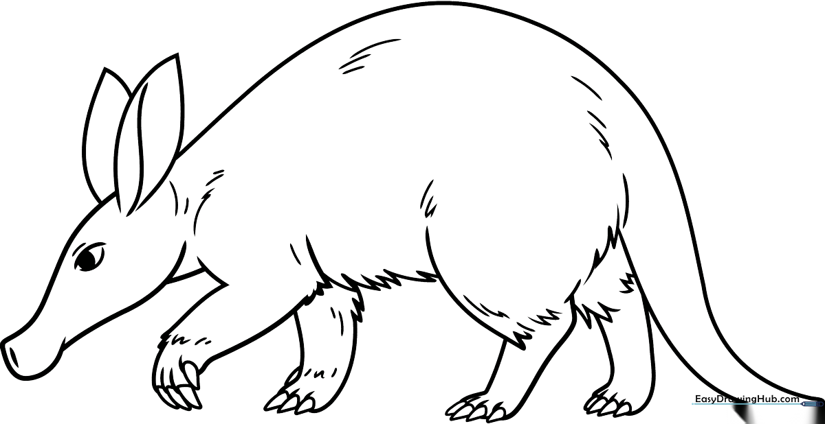 A cute cartoon aardvark coloring page for kids to print and color