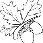 A cute and simple acorns coloring page for kids featuring detailed outlines of forest nuts and leaves