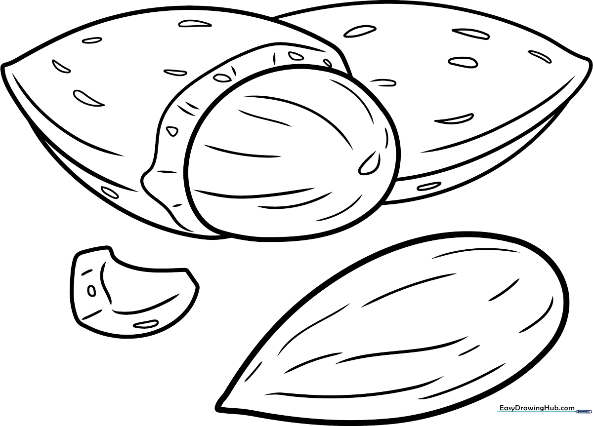 A simple, clean-lined Almond coloring page for kids, featuring a friendly cartoon nut design ready for coloring.
