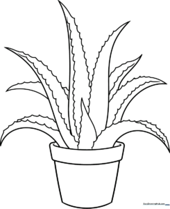 Aloe Vera Coloring Page: Free Printable Sheet