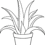 A cute cartoon Aloe Vera plant in a pot, ready for kids to color on this free printable sheet.